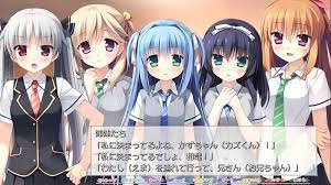 さくらシュトラッセ通り