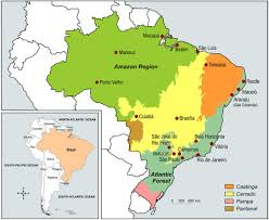 Código de desconto amazon no amazon cloud. The Brazilian Biome Map And Location Of Research Centres The Amazon Download Scientific Diagram