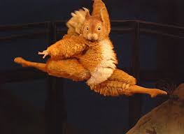 It S A Squirrel Doing Ballet What More Could You Want From Life Funny Animals Funny Cute Funny Babies