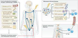 If breast cancer is diagnosed at an early enough stage, it's treatable. Cytoreductive Treatment Strategies For De Novo Metastatic Prostate Cancer Nature Reviews Clinical Oncology
