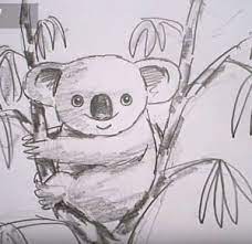 A manual for the amateur, and basis of the study for the professional artist: Realistic Pencil Koala Drawing Drawing Easy