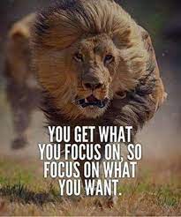 247 Motivational Inspirational Quotes 107 Short Inspirational Quotes Inspirational Quotes Motivation Lion Quotes