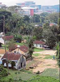 Pada umumnya, pasien tidak merasa terganggu sampai terjadi kecelakaan, misalnya terkena api namun tidak merasa sakit. Koloni Pekerja Asing Tawan Pusat Kusta