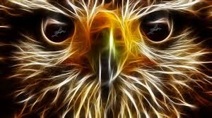 Pin By Forever A Proud Otaku On Mystical Fractals Animal Wallpaper Wild Animal Wallpaper Animals