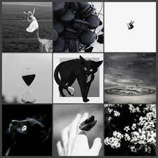 pin na doske koty voiteli