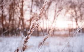 .yang yoga to go with the yin yoga. Yinyoga Winter Winter Solstice Yin Yoga Check In With Bianca Home Of Yoga Www Yinyoga Wien The Power Of Fascia Freedom For Fluidity Of Movement And Greater