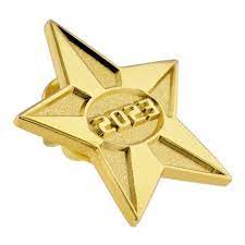 2023 Gold Star Pin Gold Stars Gold Stars