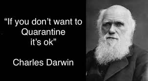 Just trying to weigh up my options in regards to if. Charles Darwin Just Do It Gop Duh Base Go For It Funny True Quotes Funny Words Seriously Funny