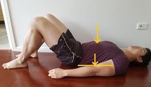 During normal breathing, contraction of the major inspiratory muscle, the diaphragm, produces both rib cage expansion and a downward movement of the diaphragm. How To Fix Flared Ribs Posture Direct