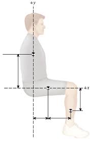 Solved The Drawing Shows A Human Figure Approximately In Chegg Com Look at links below to get more options for getting and using clip art. the drawing shows a human figure