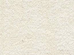 Snapstyle hochflor velours teppich mona teppiche. Velours Teppichboden Seduction Creme 500 Cm Breit