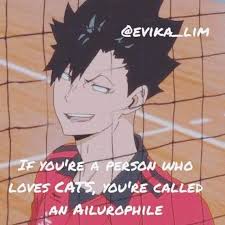 For some weird reasons a group of people i knew were saying that it was from jojo, but no. Haikyuu Memes Kuroo Tetsurou Wattpad