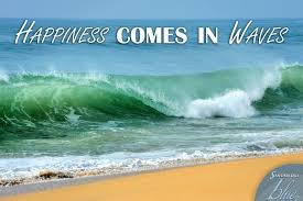 Happiness Comes In Waves Beach Memes Beach Trip Beach Vacation Pictures