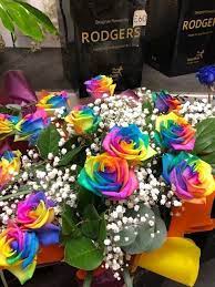 Many local florists have shut down, since they are not allowed to continue physical operations or don't have a lot of flowers in stock. Rodgers The Florist Manchester Didsbury Nelrose Princess Road 0161 861 0524 Chorlton 591 Wilbraham Road 0161 881 Flower Delivery Flower Designs Florist