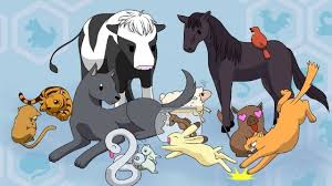 Tiger Kisa Sohma Cow Hatsuharu Sohma Lamb Hero Sohma Rat Yuki Sohma Dog Shigure Sohma Horse Fruits Basket Anime Fruits Basket Fruit Basket Anime