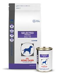 Hydrolyzed protein dog food recommendations. Royal Canin Veterinary Diet Hydrolyzed Protein Adult Hp Dry Dog Food 7 7 Lb Bag Chewy Com