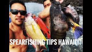 With a permit to engage in activities otherwise prohibited by law for scientific, propagation or other purposes. Spearfishing Hawaii Tips For Beginners Spearfishing Oahu Youtube