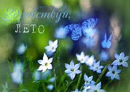 03.06 владимирская икона божией матери. Pozdravitelnye Kartinki S Nastupleniem Leta Otkrytki I Kartinki Besplatno