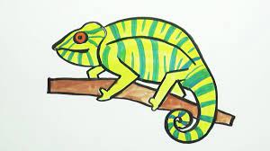 Visit our art supply page for more information about the supplies used in this lesson. How To Draw A Chameleon Easy Step By Step Coloring 4 Kids Tipitoyarts Youtube