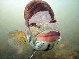 Trott S Lips Eyes And Hair On A Trout Fish Hatfilms