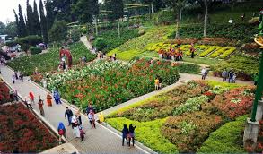 Harga tiket masuk waduk pacal: New Normal Spot Foto Harga Tiket Masuk Selecta Terbaru 2020 Cek Tiket