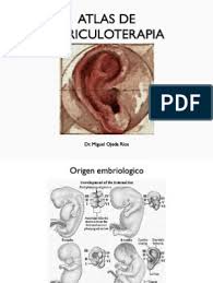 This innovative program includes the latest research and reveals the. Auriculoterapia Para Adelgazar Pdf Free Balines Auriculoterapia