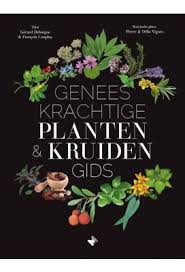 Bloemen En Planten Geneeskracht Boek Google Zoeken Geneeskrachtige Planten Kruiden Planten