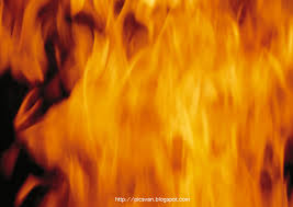 We did not find results for: Free Download Psd Poster Fire Brushes Fire Wallpapers Photoshop Fire Background 1600x1136 For Your Desktop Mobile Tablet Explore 76 Free Fire Wallpaper Fire Background Wallpaper 3d Fire Wallpaper Catching