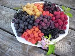 Image result for Rubus