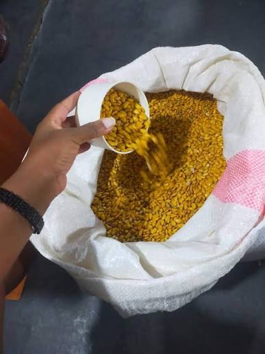 Yellow Egg Beans