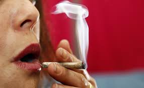 Check spelling or type a new query. Jack In The Box To Offer New Munchie Meals For Stoned Customers Washington Times