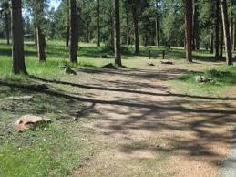 Maybe you would like to learn more about one of these? Colorado Campground Psicc Recreation Gov