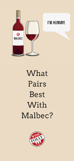 Malbec Food Pairing Ideas Wine Folly Malbec Wine Wine