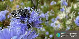 Waterwise Gardening for Pollinators