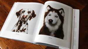 Whether you consider your pets to be your babies or your buddies, there's no doubt they have their own unique style. 52 Perfect Gifts For Dog Lovers And Owners