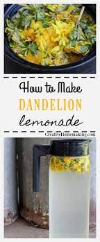 Dandelion Lemonade Creative Homemaking Dandelion Recipes Lemonade Recipes Detox Drinks Recipes
