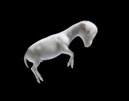 555 beğenme · 12 kişi bunun hakkında konuşuyor · 520 kişi buradaydı. Tim Flach Equus Dubinsky Fine Arts