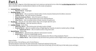 Part 1 Draw And Label A Diagram Of The Following M