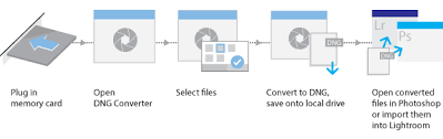 How to convert raw files or.nef to.jpg or.jpeg for free in mobile | android or ios how to convert raw photos to dng in adobe photoshop lightroom classic dng, the file in this video i will show you how to export raw photos to jpeg in lightroom. How To Import Raw Files Into Lightroom Fast Raw Converter Lightroom