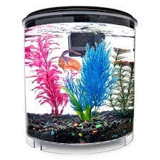 Check spelling or type a new query. Imagitarium 2 Gallon Cumberland Tank Petco