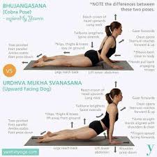 The Cobra Yoga Pose Helps To Strengthen The Spine Yoga Tips Yoga Benefits Yoga Moves
