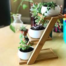 Small Desk Plant Holder For An Office Space That Needs A Little Life Find This And More Great Ideas On The Arriva Desk Plants Plant Holders Office Plants Desk