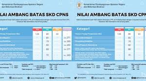 Nilai Ambang Batas Atau Passing Grade Skd Cpns 2019 Di Masing Masing Formasi Berikut Rinciannya Tribunnews Com Mobile
