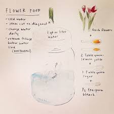 There are many special occasions to buy flowers. Flower Food Diy Flower Food Diy Flower Food Planting Flowers