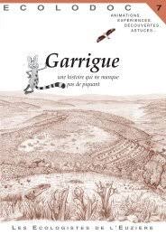 Image result for Rhynchosia pseudoviscosa