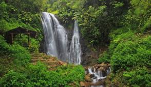 Akibatnya, ngaidin tak sadarkan diri dan proses evakuasi memakan waktu hingga enam jam. Air Terjun Cemoro Sewu Magetan