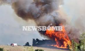 Φωτια τωρα στη σαλαμινα φωτιά ξέσπασε το απόγευμα στην περιοχή αγίου δημητρίου παλιάμπελα σαλαμίνος. Gpq9esmtd0nipm