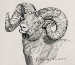 Display Frame | Animal Sketches, Animal Paintings, Animal Drawings