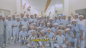 We did not find results for: Lowongan Kerja Terbaru Pt Tirta Alam Segar Tahun 2021