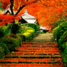 Maybe you would like to learn more about one of these? Stream Garden Of Eden Music Listen To Songs Albums Playlists For Free On Soundcloud